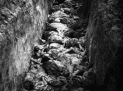 Auschwitz Concentration Camp Bodies in Trenches